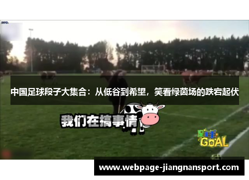 中国足球段子大集合:从低谷到希望,笑看绿茵场的跌宕起伏